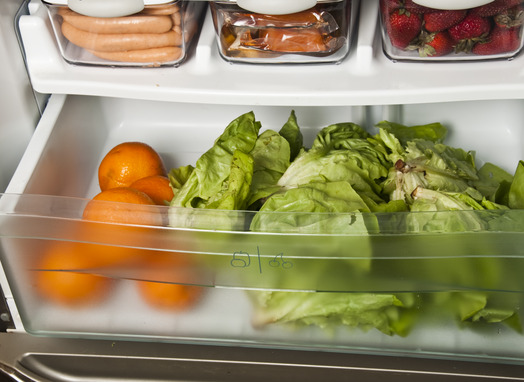 maintaining fresh smelling refrigerator